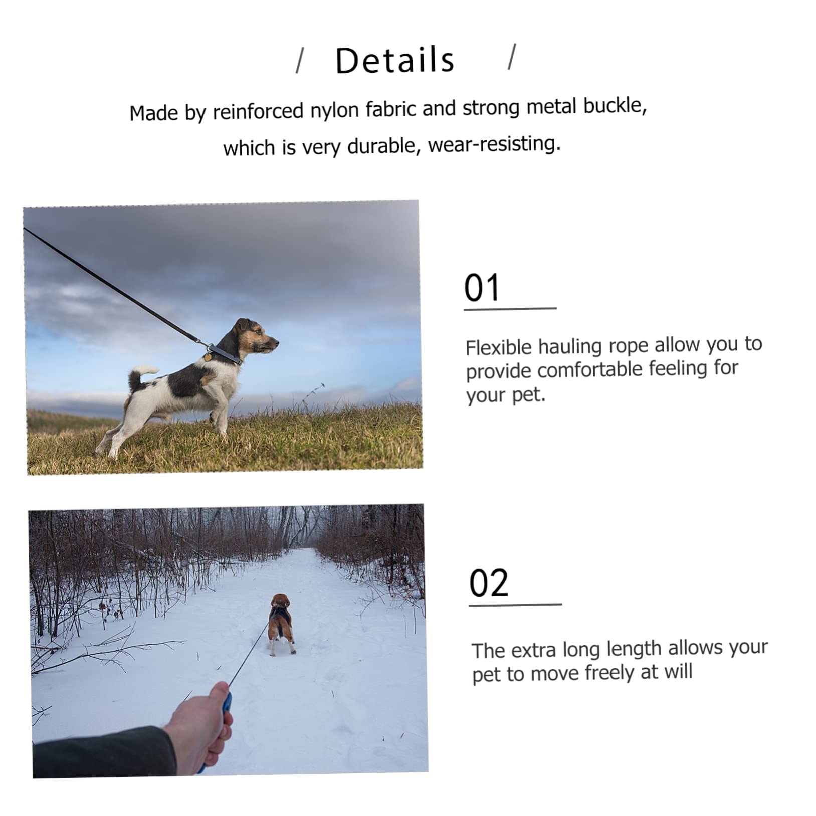 Collare e Guinzaglio Cane Perle Finte Bianco in Pelle PU 2 Pezzi | Regolabile e Staccabile, per Cuccioli e Cani Piccoli, per Addestramento, Feste, Matrimoni e Foto, Bianco