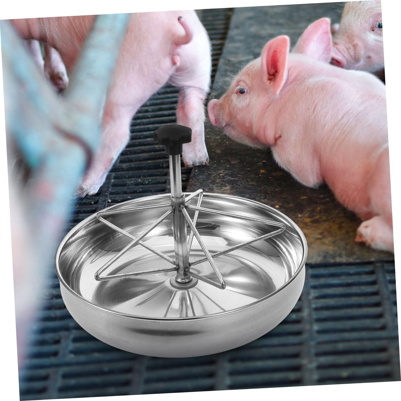 UKCOCO Mangiatoia Per Maiali in Acciaio Resistente Mangiatoia Ad Alta Capacità Per Recinti Per Allevamenti Contenitore Per Alimentazione Facile Da Pulire