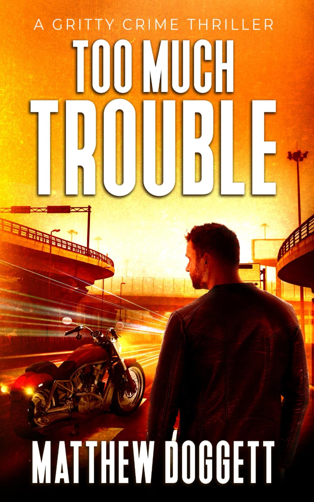 Too Much Trouble: A Gritty Crime Thriller