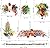 BBjinronjy Bird Toys Parakeet Toy Chewing Shredding Foraging Toys Hanging Toy Bird Shredded Paper Bird Cage Accessories Bird Rope Perch for Conure Cockatiel Budgies Lovebird Parrot