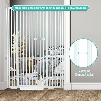 猫　30 Amazon.com: 59