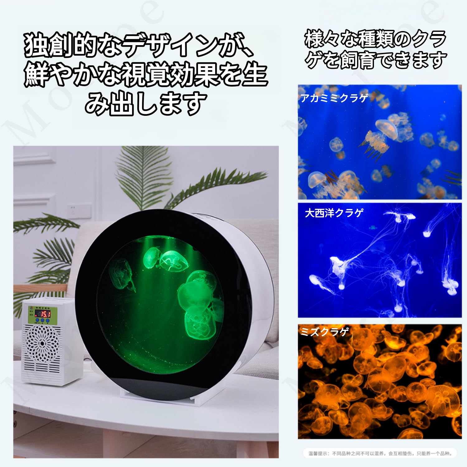 GANA アクリル水槽 クラゲ用 GANA アクリル水槽 クラゲ用 丸窓のような