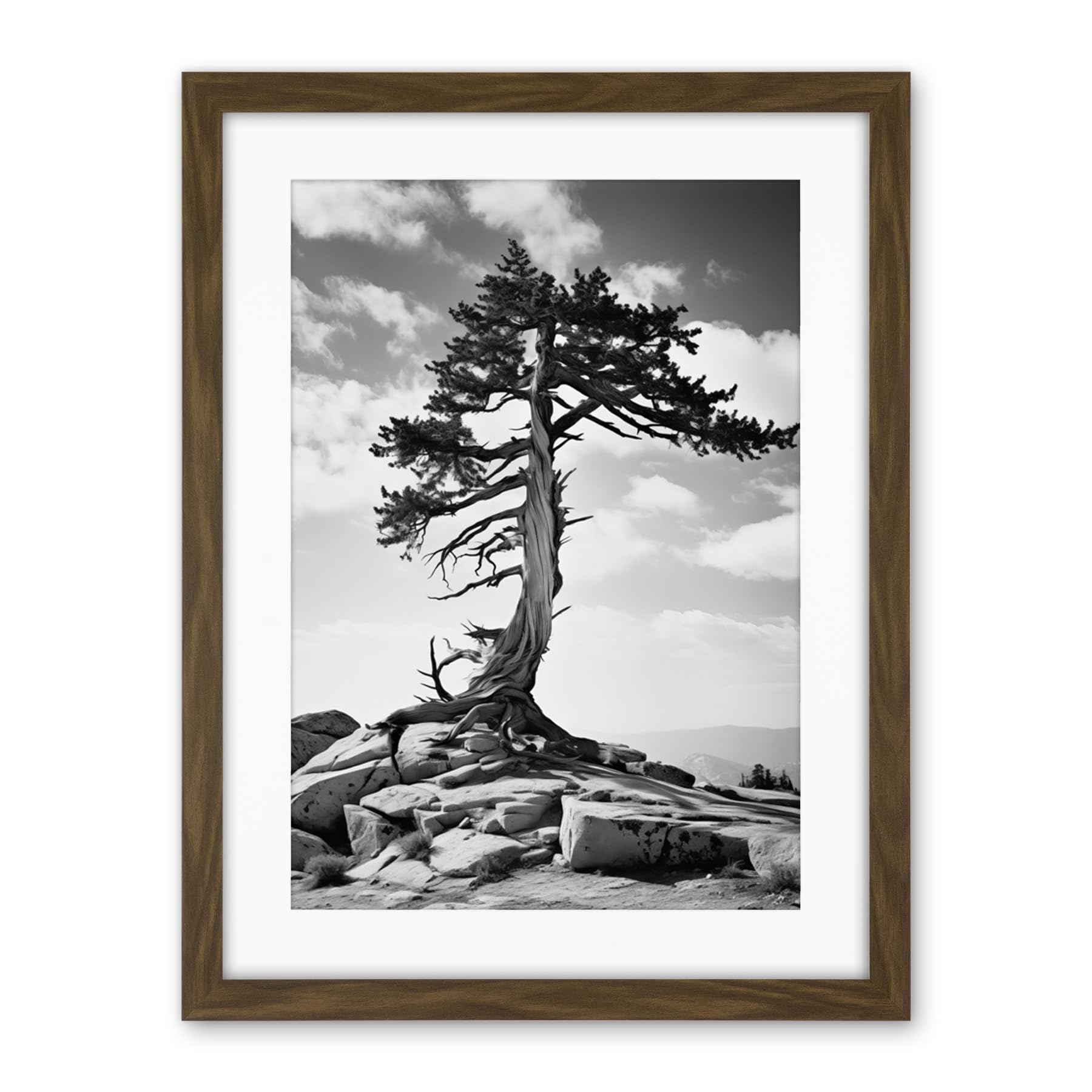 Artery8 Weathered Jeffrey Pine Standing on a Rocky Hill Black and White Photograph Lone Tree Artwork Framed Wall Art Print 18X24 Inch