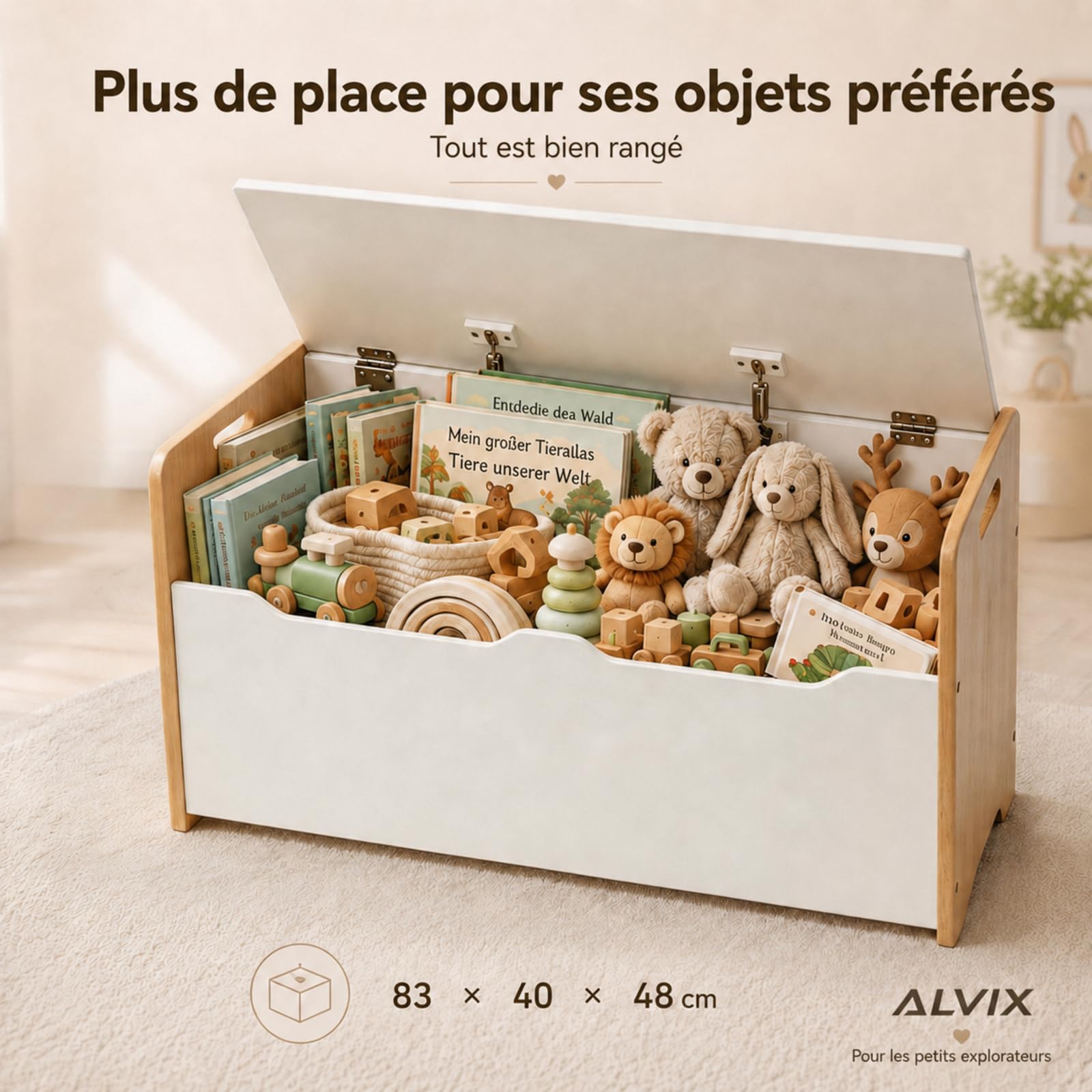 ALVIX Coffre à jouets pour enfant avec espace de rangement