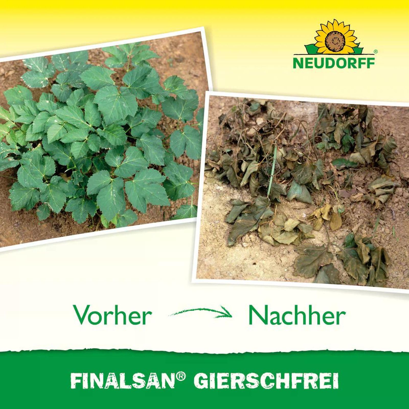 3 X 1L Finalsan Giersch­Frei