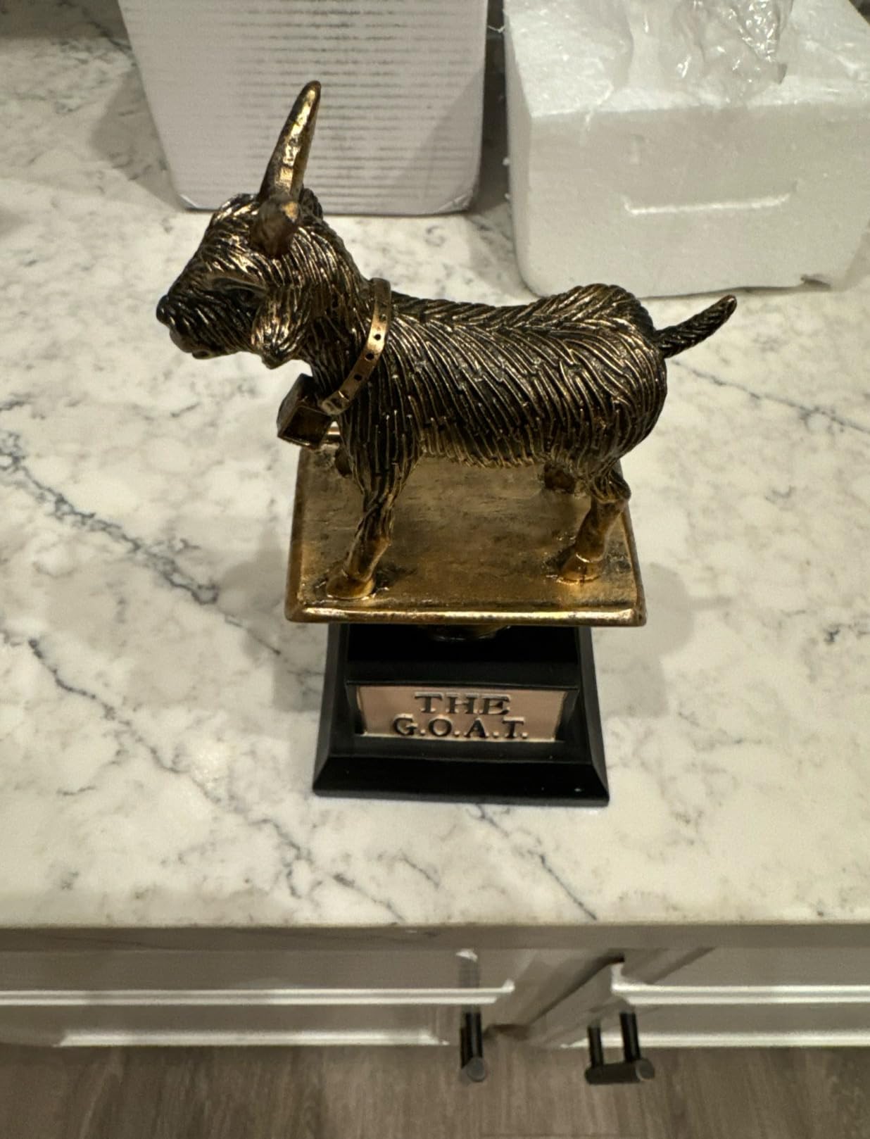 GOAT Trophy | GOAT Award | Greatest Of All Time Trophy | Available In - View #9