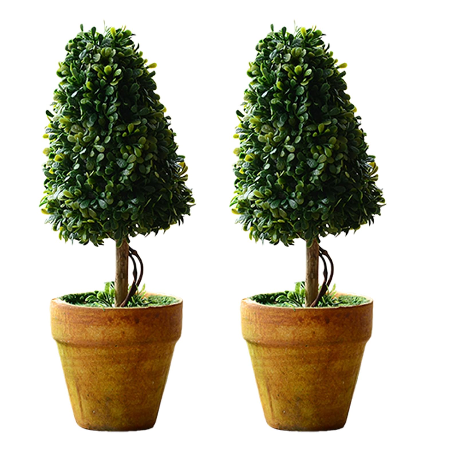 Wlnext 2Pcs-C Artificial Succulents Plant Simulation Succulents Small Cactus Fake Plant Decoration Artificial