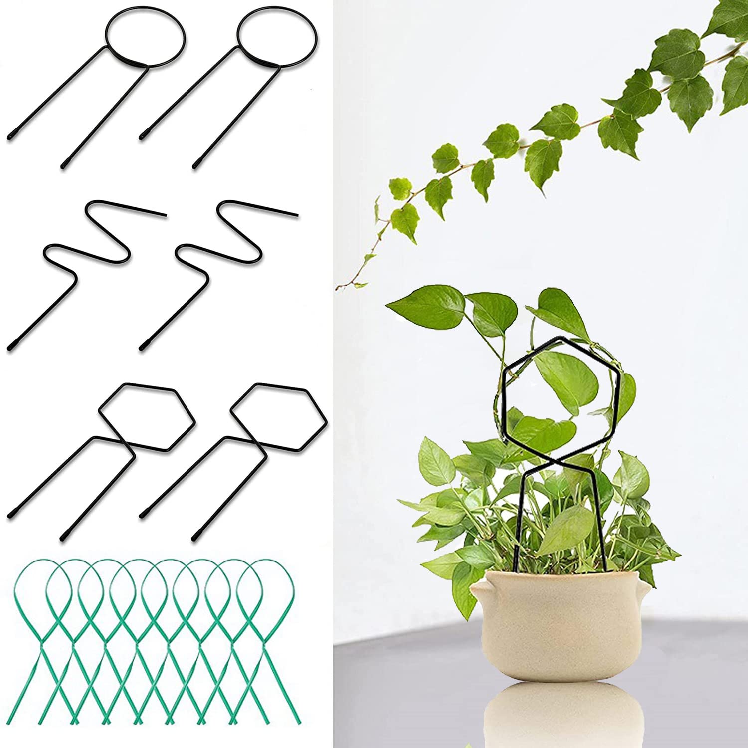 Rankhilfe fr Topfpflanzen, 6 Stck, Metallpflanzen, Rankhilfe fr  Kletterpflanzen, Innenbereich, Garten, Rankhilfe fr Klettern,  Untersttzung fr Blumentpfe, Zimmerpflanze : Amazon.de: Garten