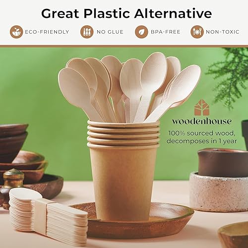 Miniatura 3 de Juego de cucharas de madera desechables (100 unidades), alternativa al plástico, ecológico, biodegradable, compostable, juego de cubiertos
