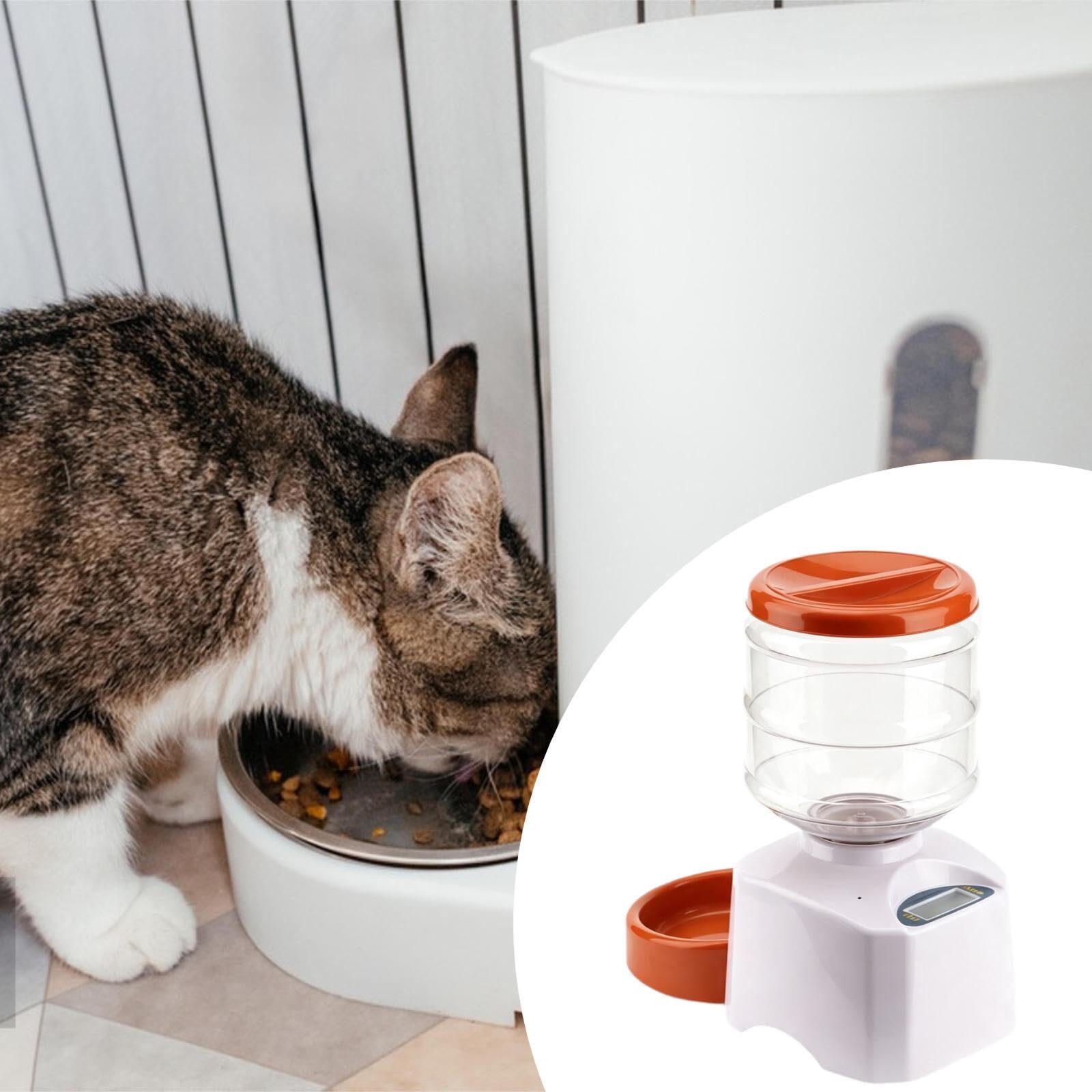 Distributore Automatico Cibo per Animali Mangiatoia Automatica Gatti Mangiatoia Automatica Cani Ciotola con Serbatoio 5.5L Programmazione Pasti