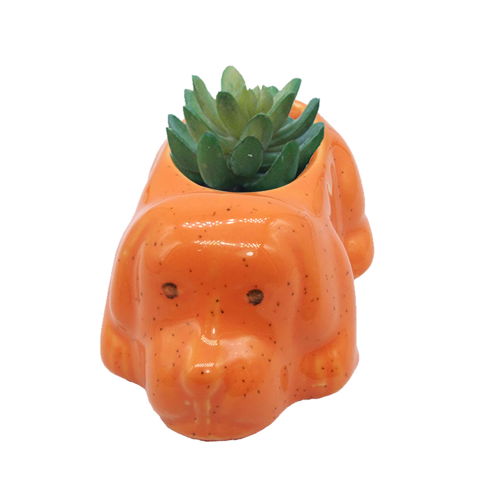 India Meets India Ceramic Flower Pot Planter Plant Pot Indoor Planter Handicraft by Awarded Indian Artisan (Turtle, Dog and Sheep (Set of 3))