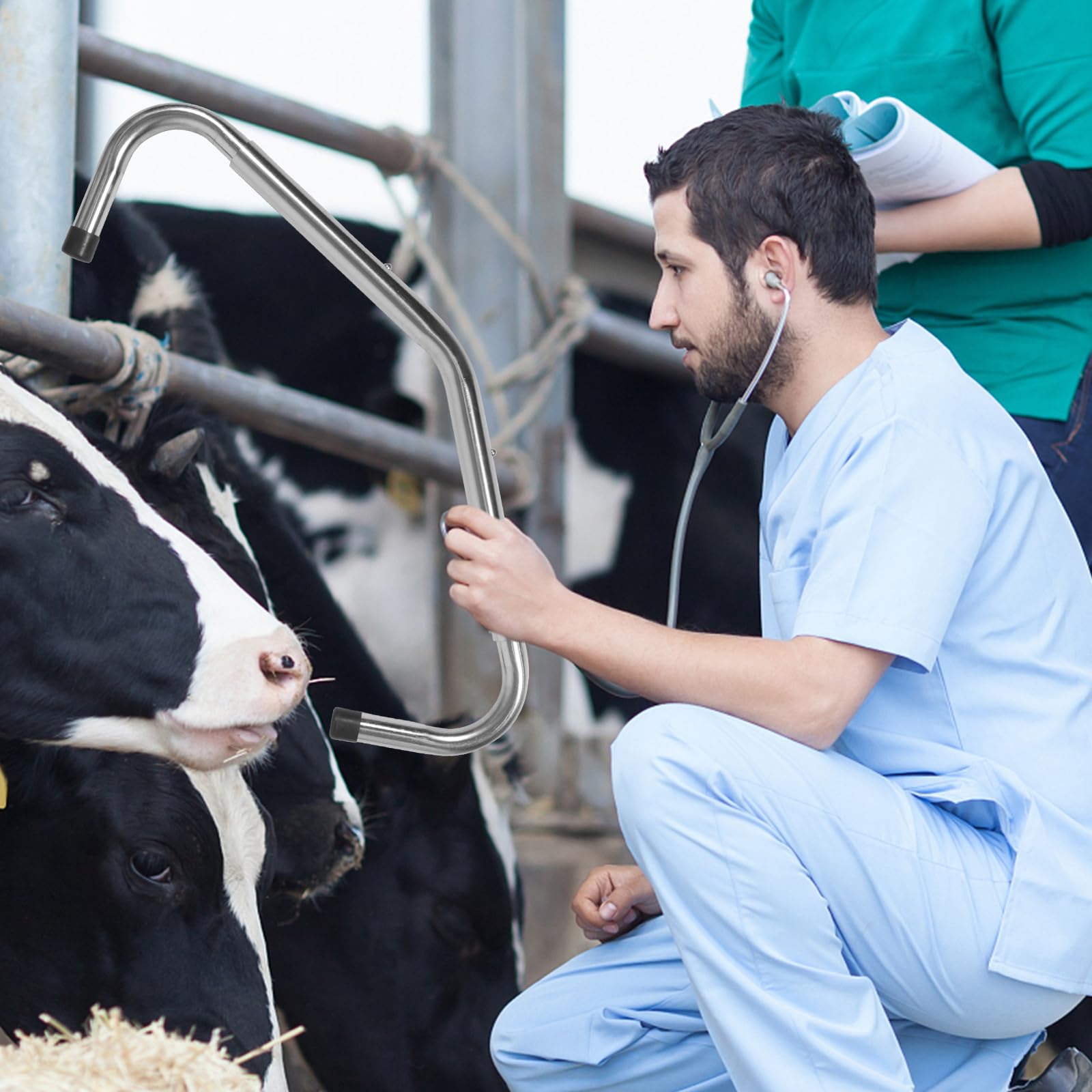 Varilla Antipatadas para Vacas de Acero Inoxidable, Herramienta Ajustable para Manejo de Ganado, Equipo Médico para Ordeño Seguro