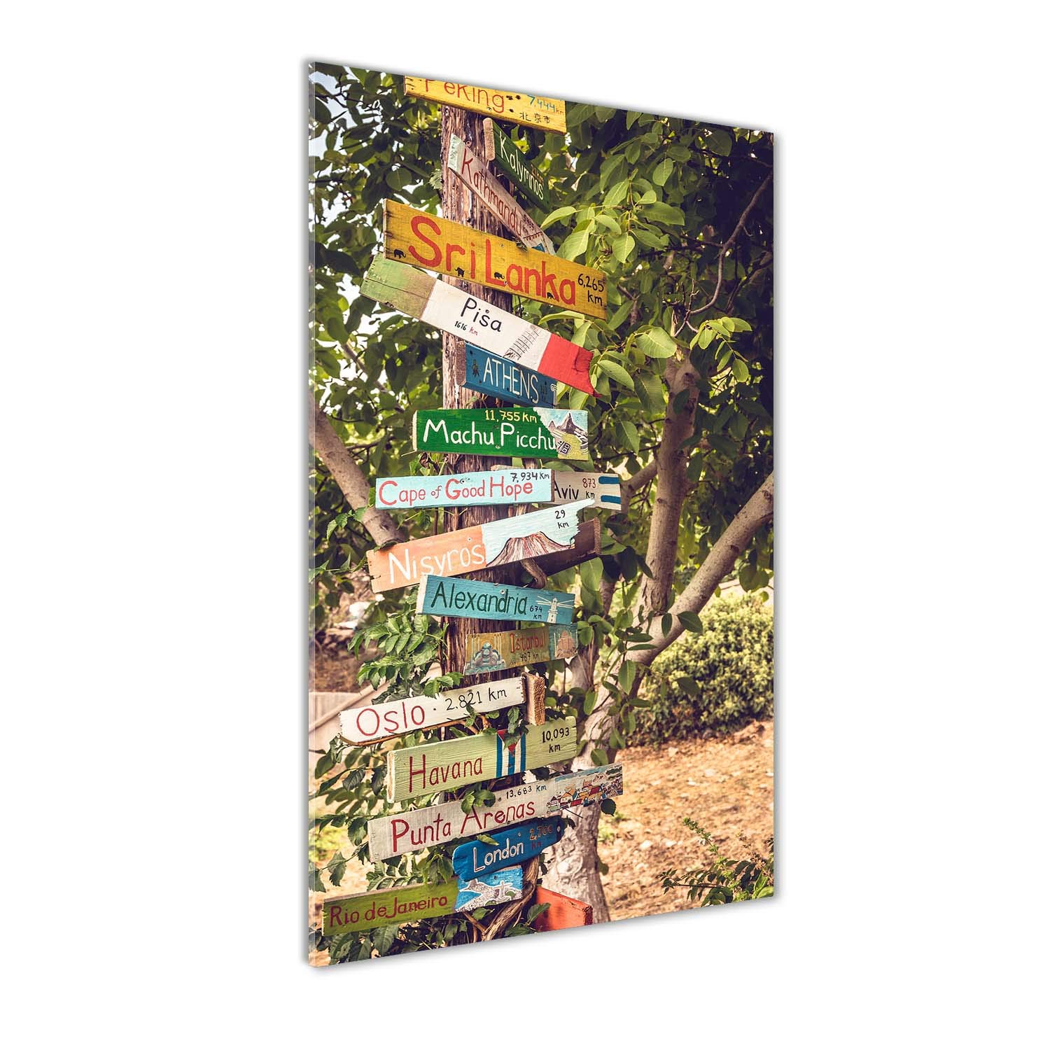Image sur verre acrylique premium Tulup : art mural 60x120 multicolore haute définition