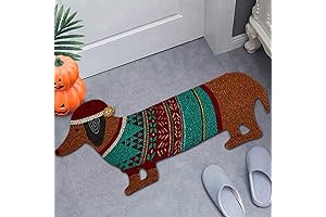 Inside Entry Door Mats For 2024