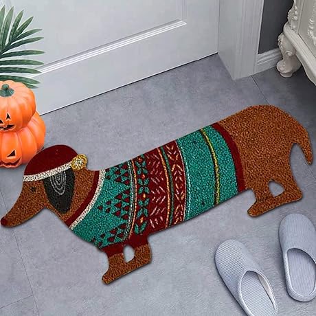 Inside Entry Door Mats For 2024