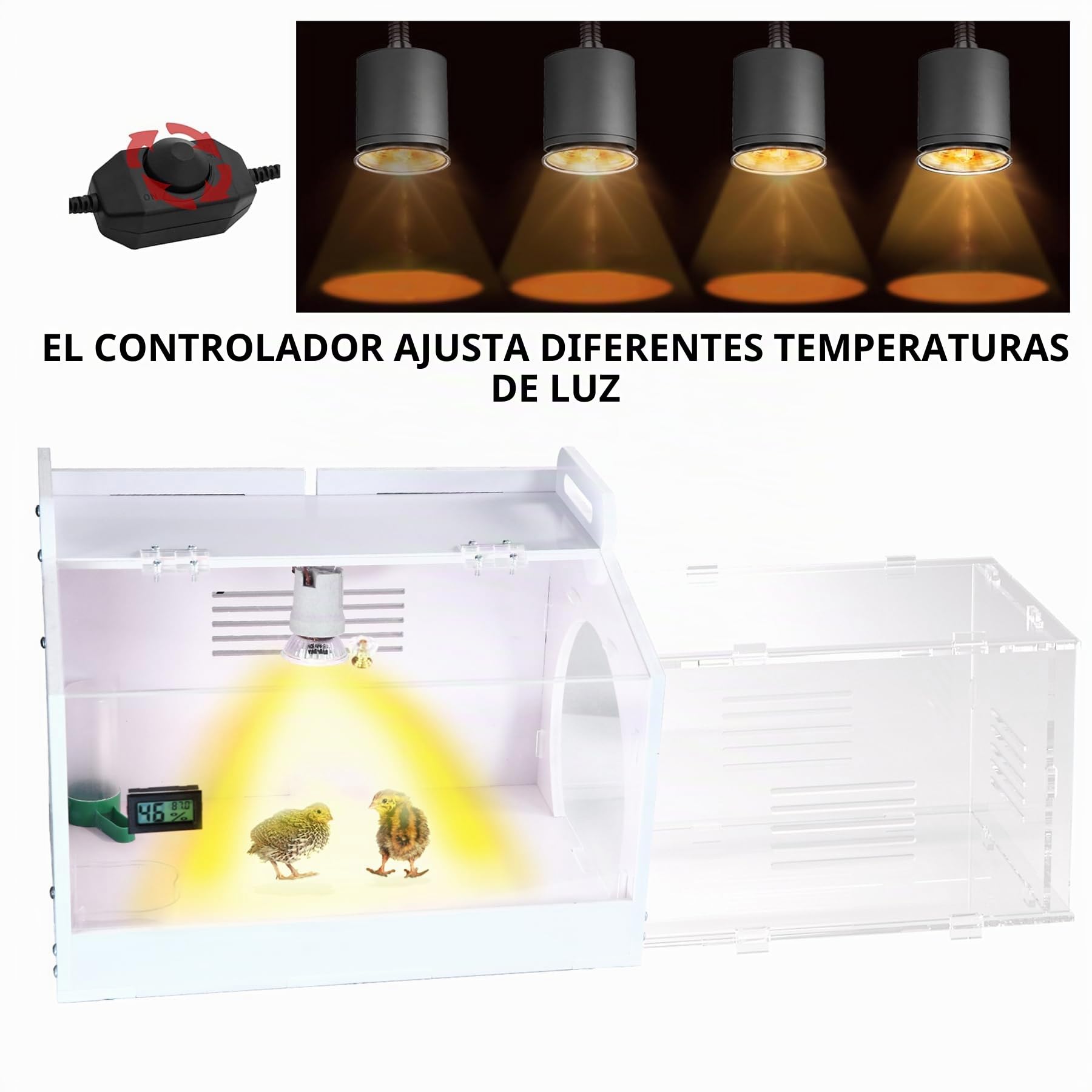 Iarge-Scale - Caja de incubadora de pollitos, jaula de codorniz, incubadora de huevos, kit de iniciación de pollitos 20-35