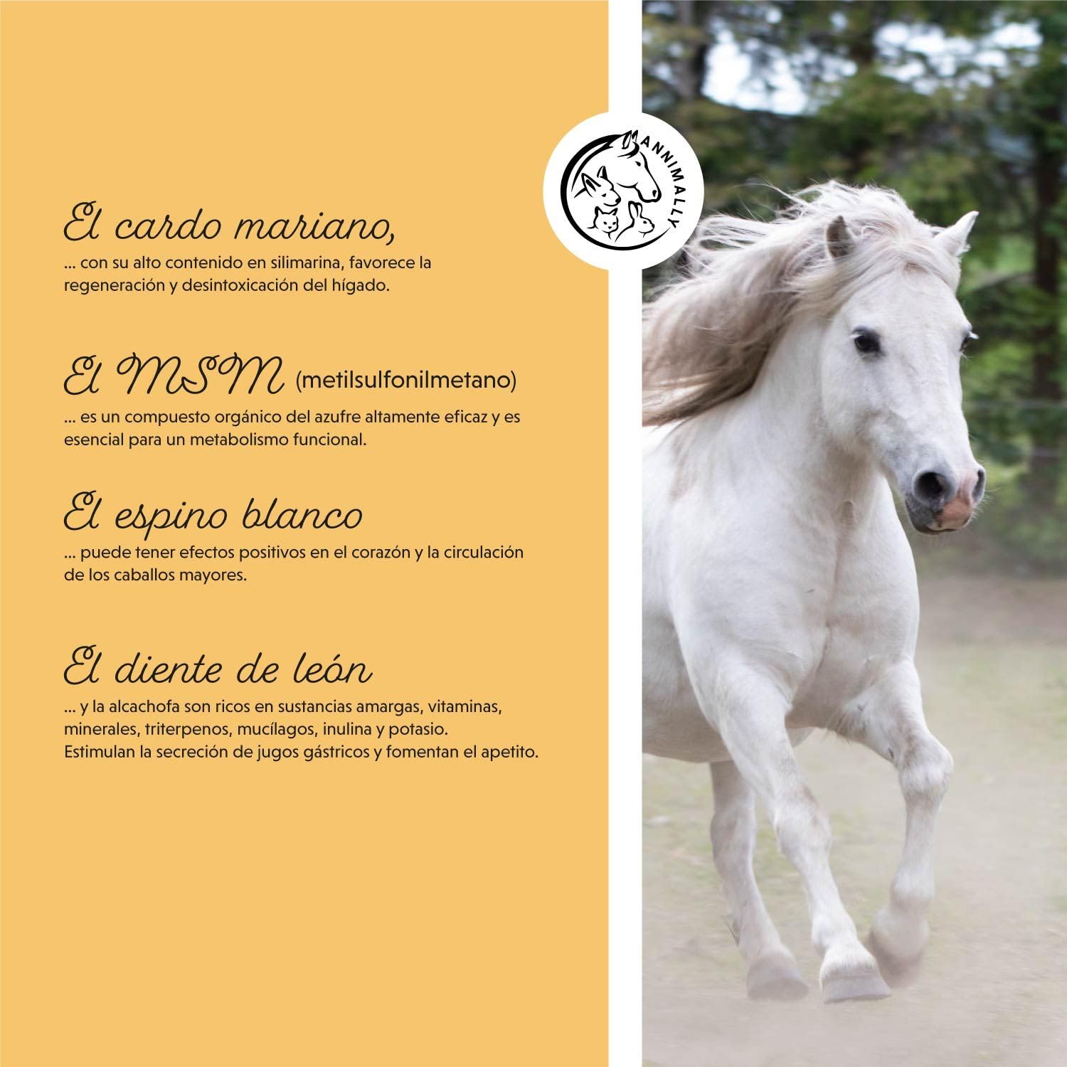 Annimally Senior Vital Polvo para Caballos con MSM, Semilla de UVA, Glucosamina, Garra del Diablo - Suplemento Senior para apoyar el corazón, la circulación, los Huesos y Las articulaciones