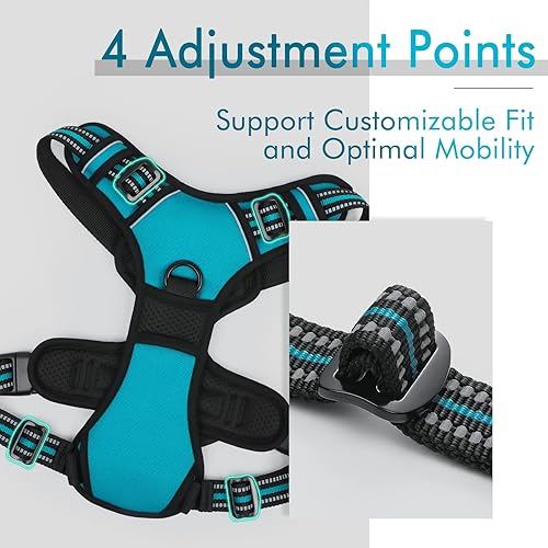 Miniatura 7 de rabbitgoo Arnés para perro, arnés sin tirones para mascotas con 2 clips para correa, chaleco acolchado suave ajustable para perro, chaleco Oxford