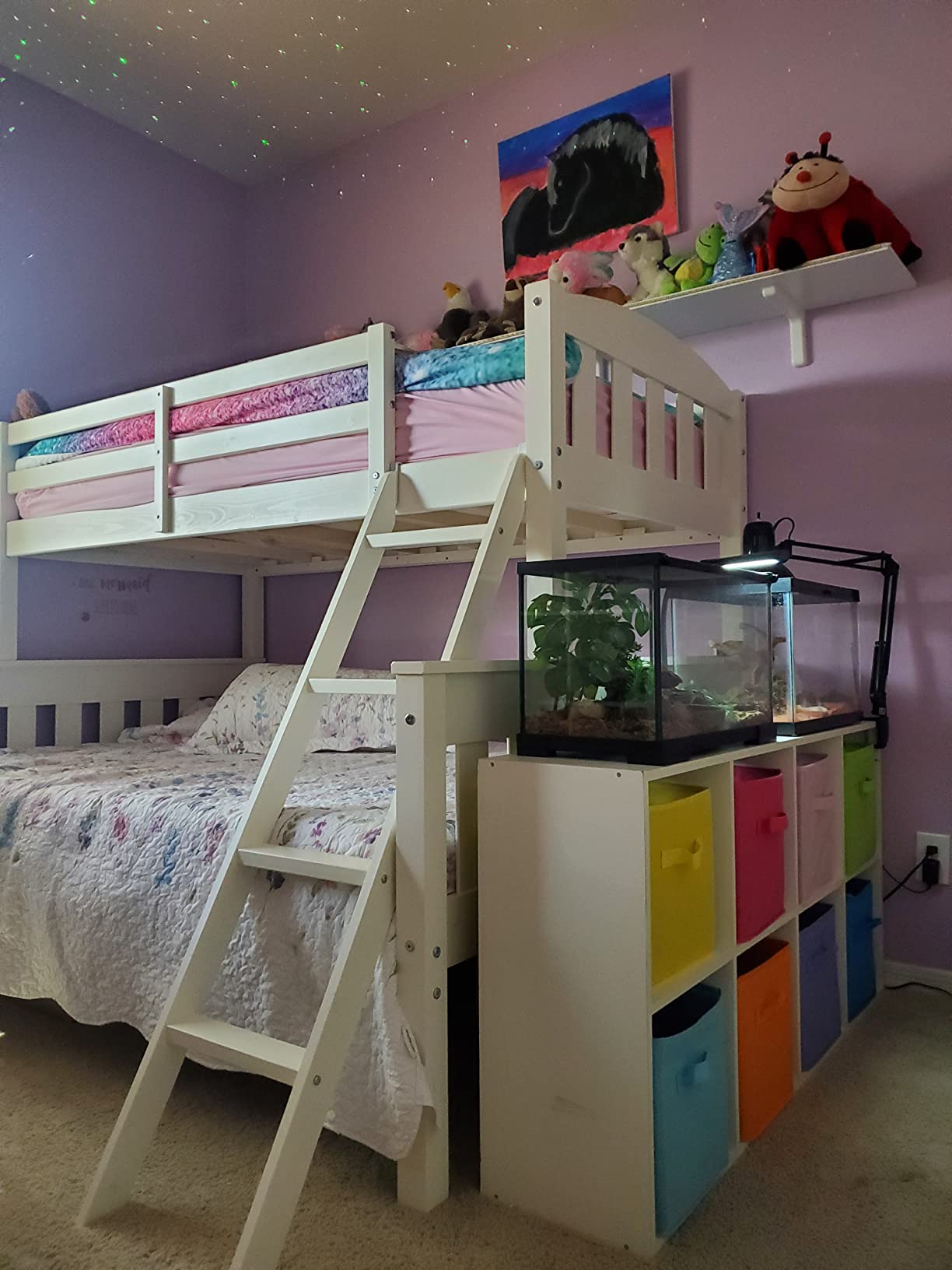 25/mo Finance Dorel Living Airlie Solid Wood Bunk Beds Twin Over