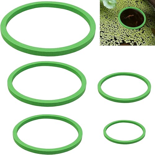 FWUNYVN 5 anillos flotantes para plantas y anillos de alimentación de peces, anillos de alimentación de peces flotantes para acuario, anillos de