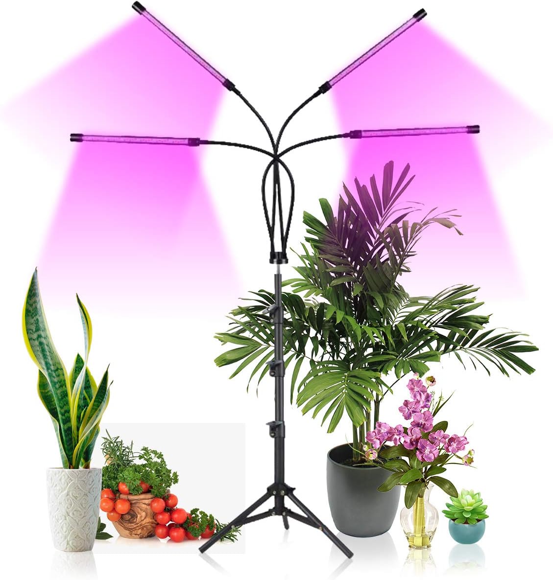 Ganeed Grow Lights with Stand, 80 LED Floor Grow Light for Indoor Plants with Red Blue & Mixed Spectrum,Plant Growing Lamps with 10 Dimmable Levels, 3/9/12H Timer,3 Light Modes,Tripod Adjustable