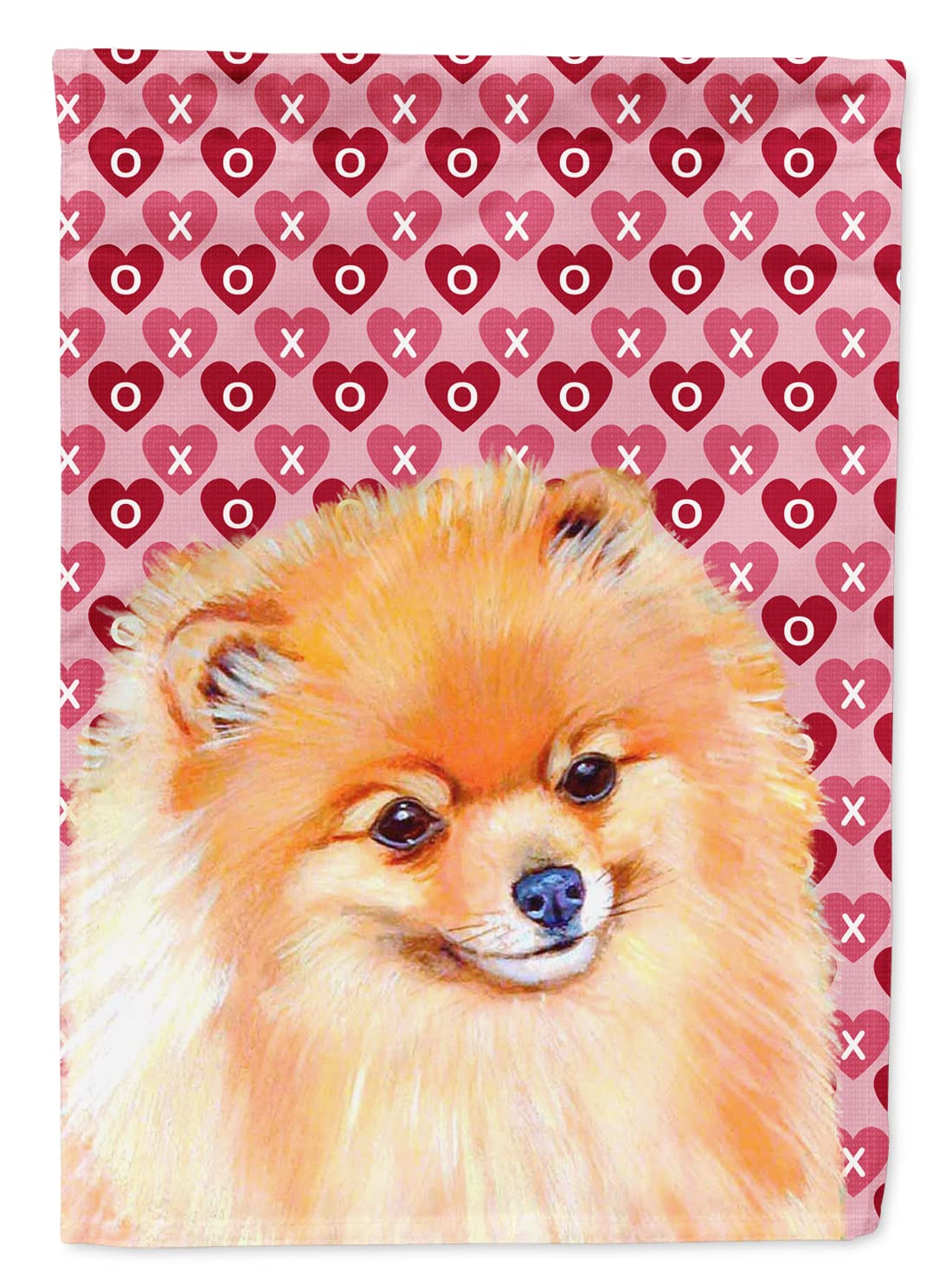 Drapeau maison Poméranie cadeau idéal pour passionnés de chiens et fêtes romantiques