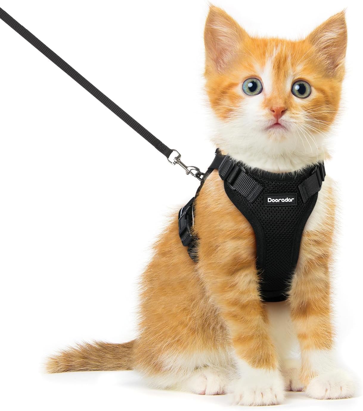 Harnais chat respirant avec laisse réglable et bandes réfléchissantes