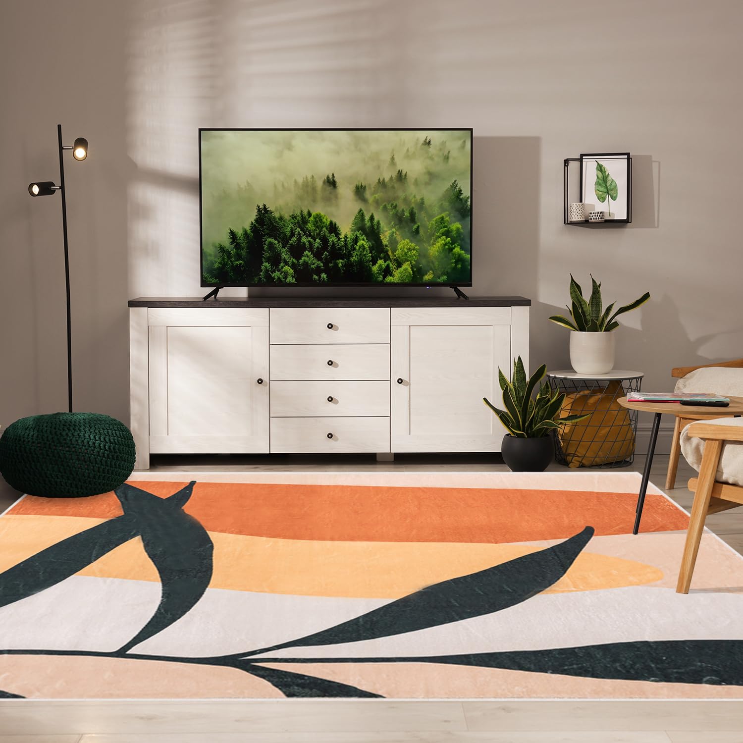 DCAIR Boho Art 6x9 Area Rug, Modern Abstract Washable Living Room Rug