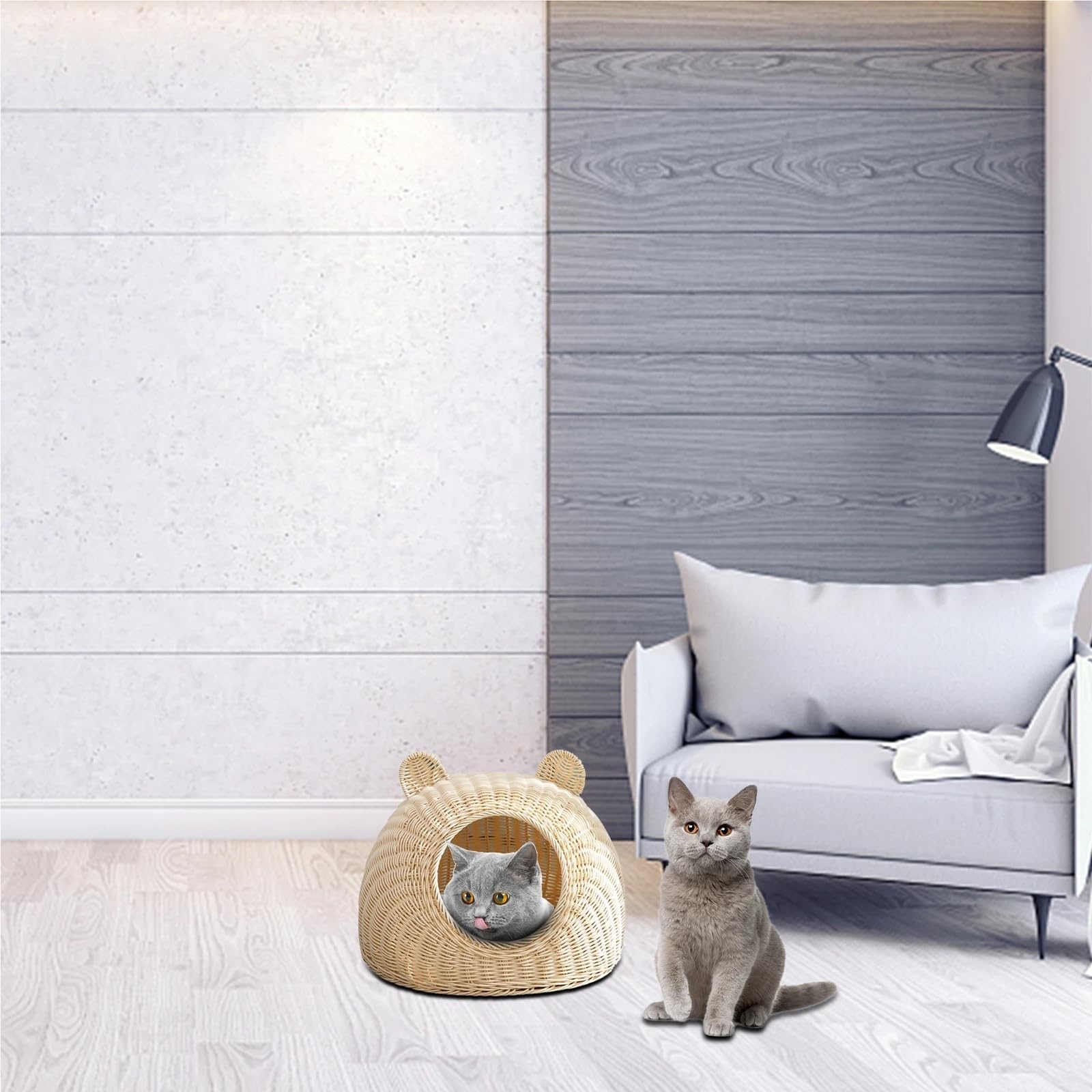 Cuccia rattan intrecciata, nascondiglio semichiuso, per gattini