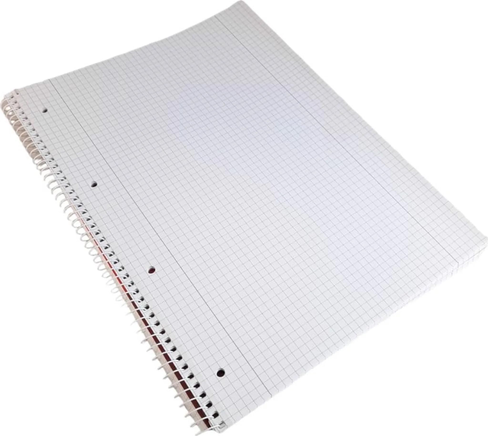 Stylex 43889-P30 - Collegeblock kariert, 30 Stück in DIN A4, je 80 Blatt mit 60 g/m² mit Spiralbindung