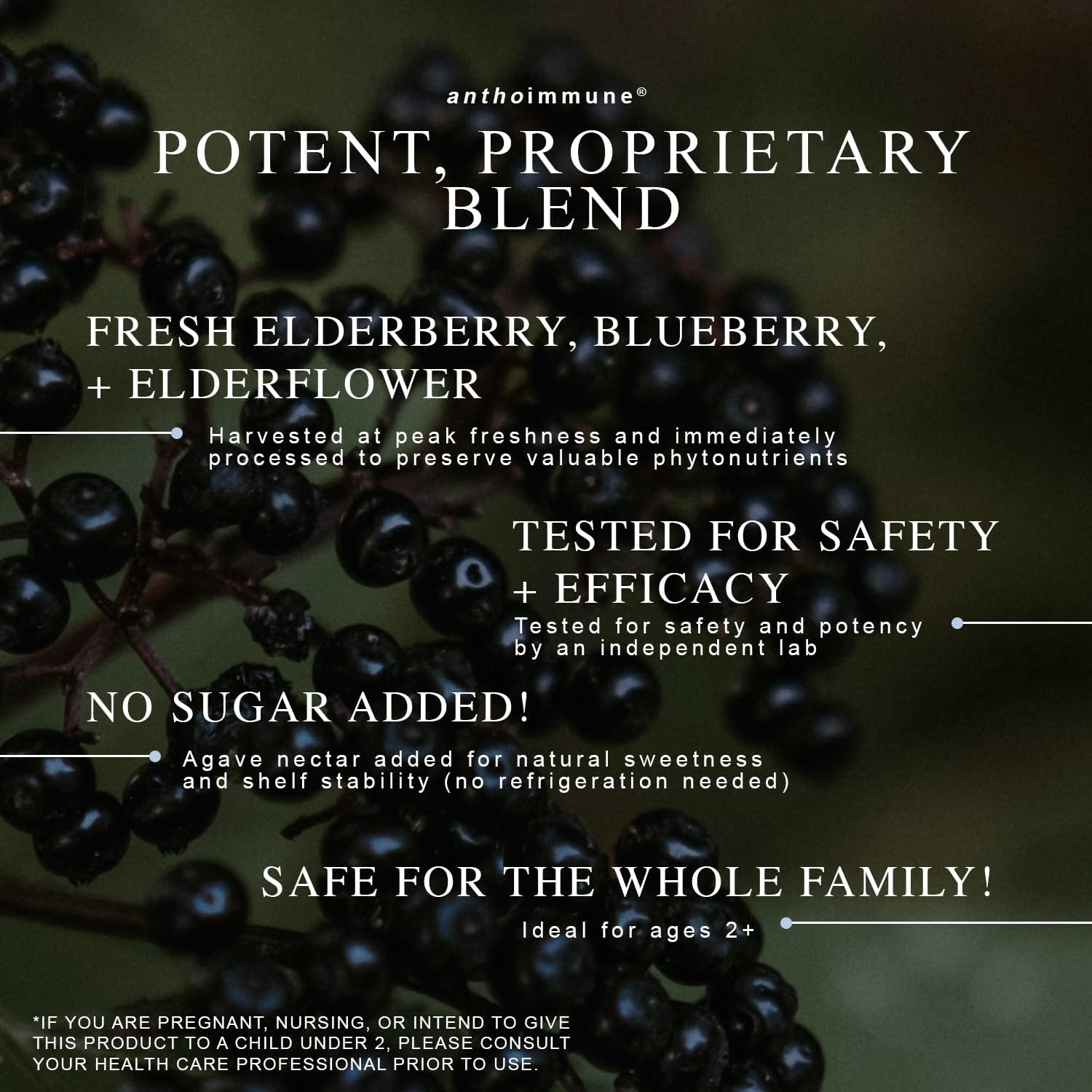 Organic Elderberry Syrup - Anthoimmune - Immune Support Supplement for Adults and Kids- USDA Organic, Ultra-Premium Black Elderberry Formula (8 oz) 48 Servings