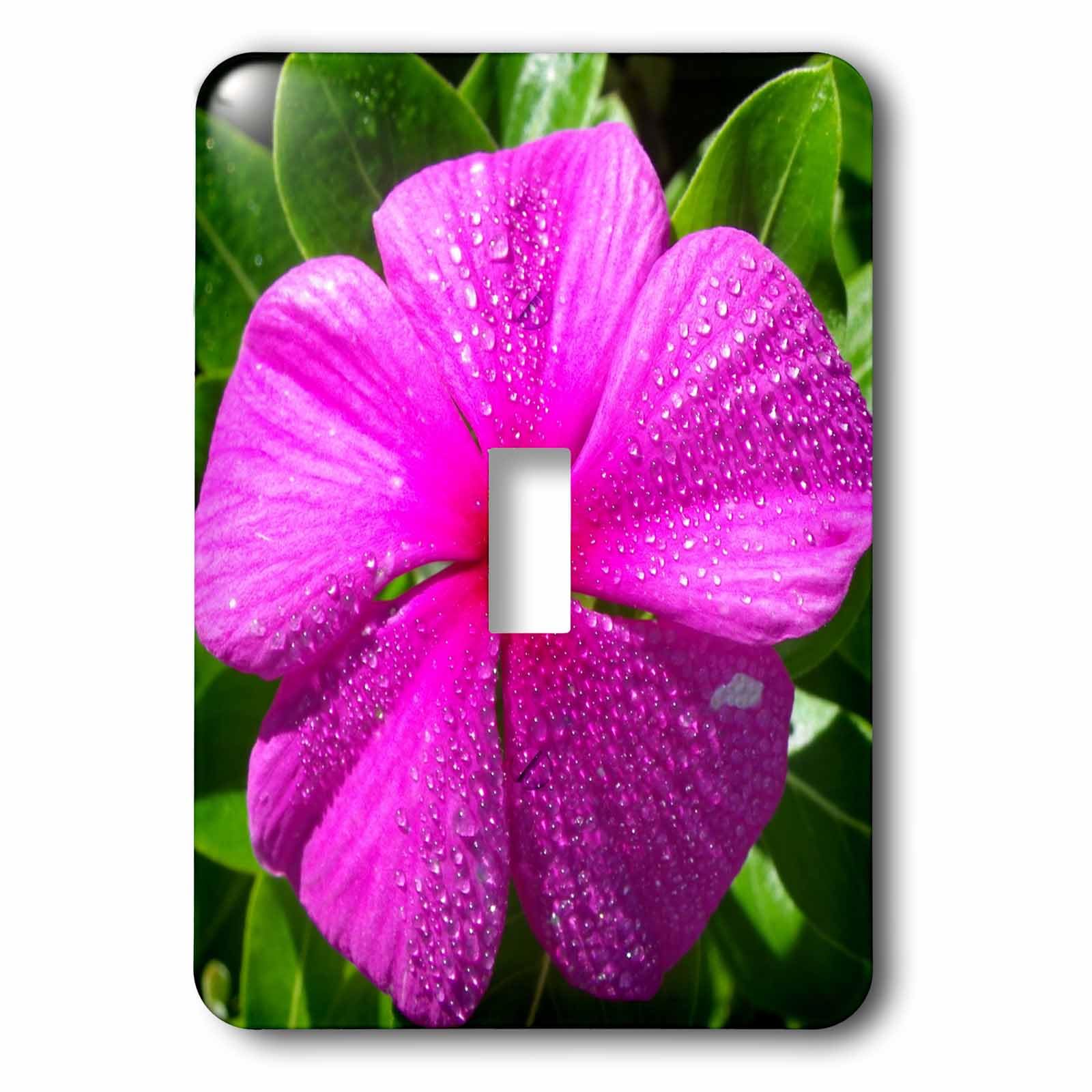 Interrupteur à bascule imprimé rose dans un jardin 3dRose LSP_63281_1 au design floral