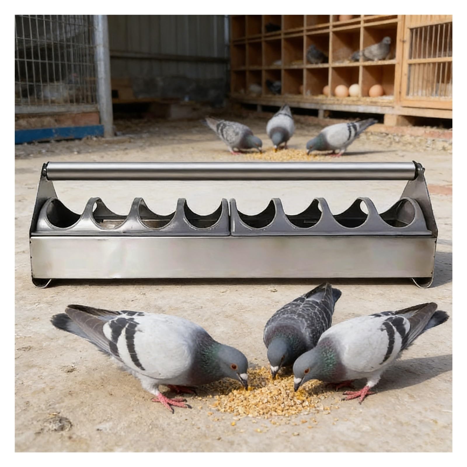 Comedero cuadrado de acero inoxidable con tapa divisora desmontable para pájaros y aves de corral
