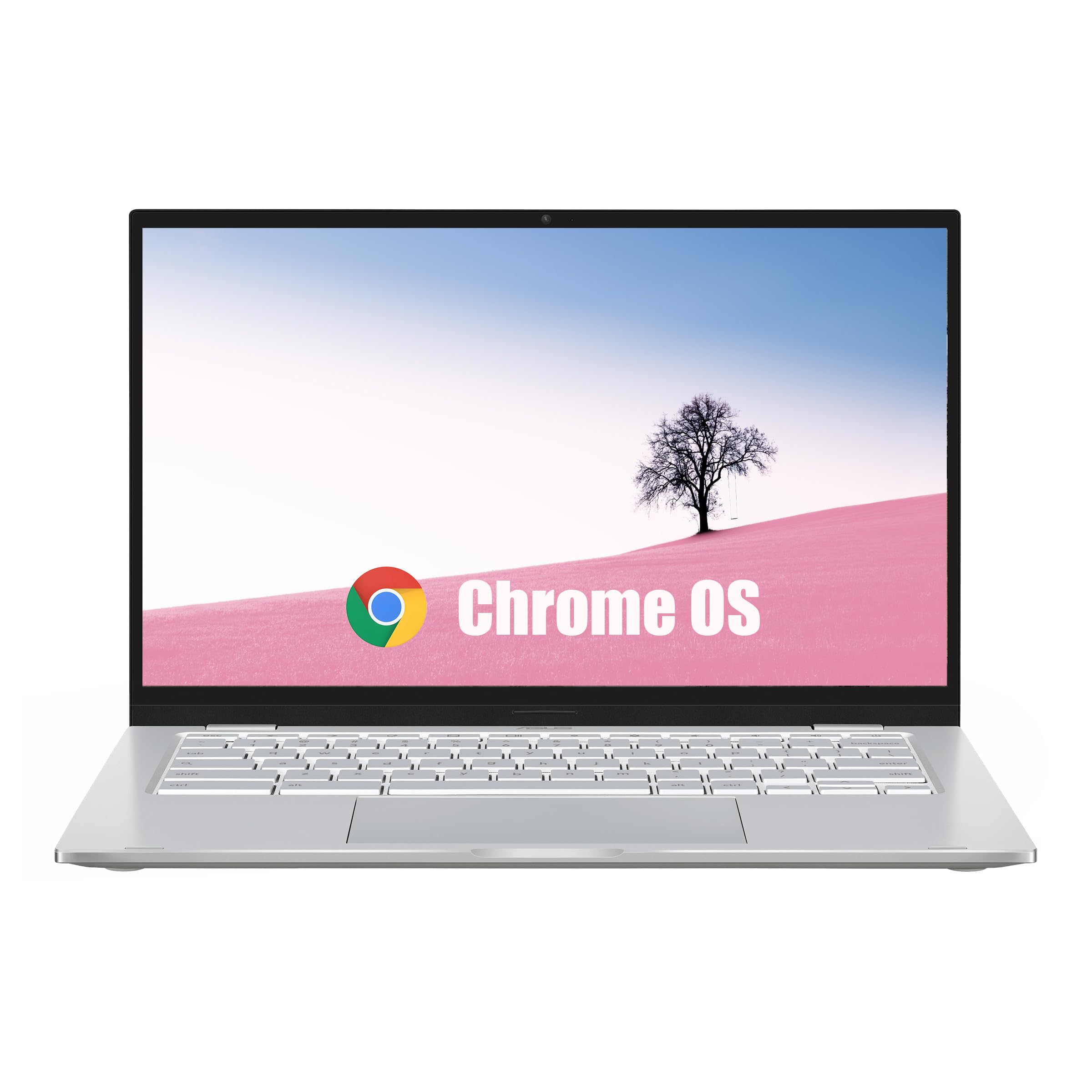 ASUS Chromebook C425T Business Notebook, 14 Zoll , Intel Core m3 ASUS Chromebook C425T Business Notebook, 14 Zoll , Intel Core m3