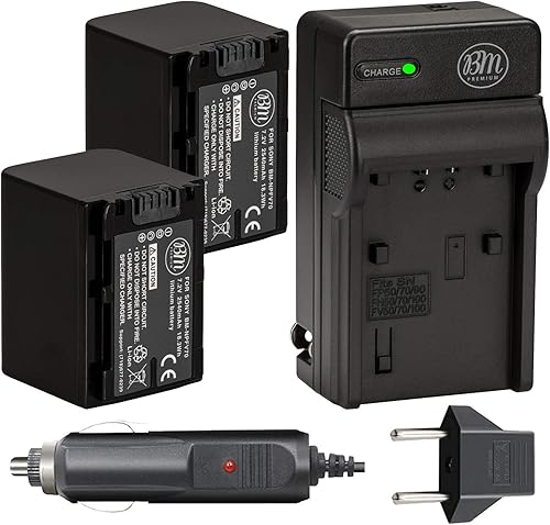 BIG MIKE'S ELECTRONICS Paquete de 2 baterías NP-FV70 y kit de cargador de batería para Sony NEX-VG10 NEX-VG20 NEX-VG30 NEX-VG900 HXR-MC50U Handycam