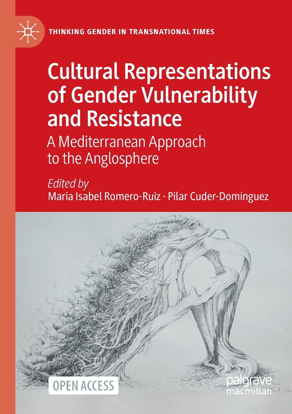 Cultural Representations of Gender Vulnerability and Resistance: A Mediterranean Approach to the Anglosphere (Thinking Gender in Transnational Times)