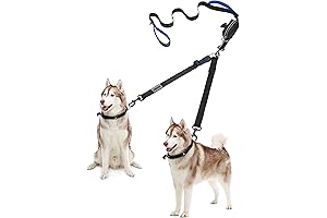 YOUTHINK 2 in 1 Dog Leashes