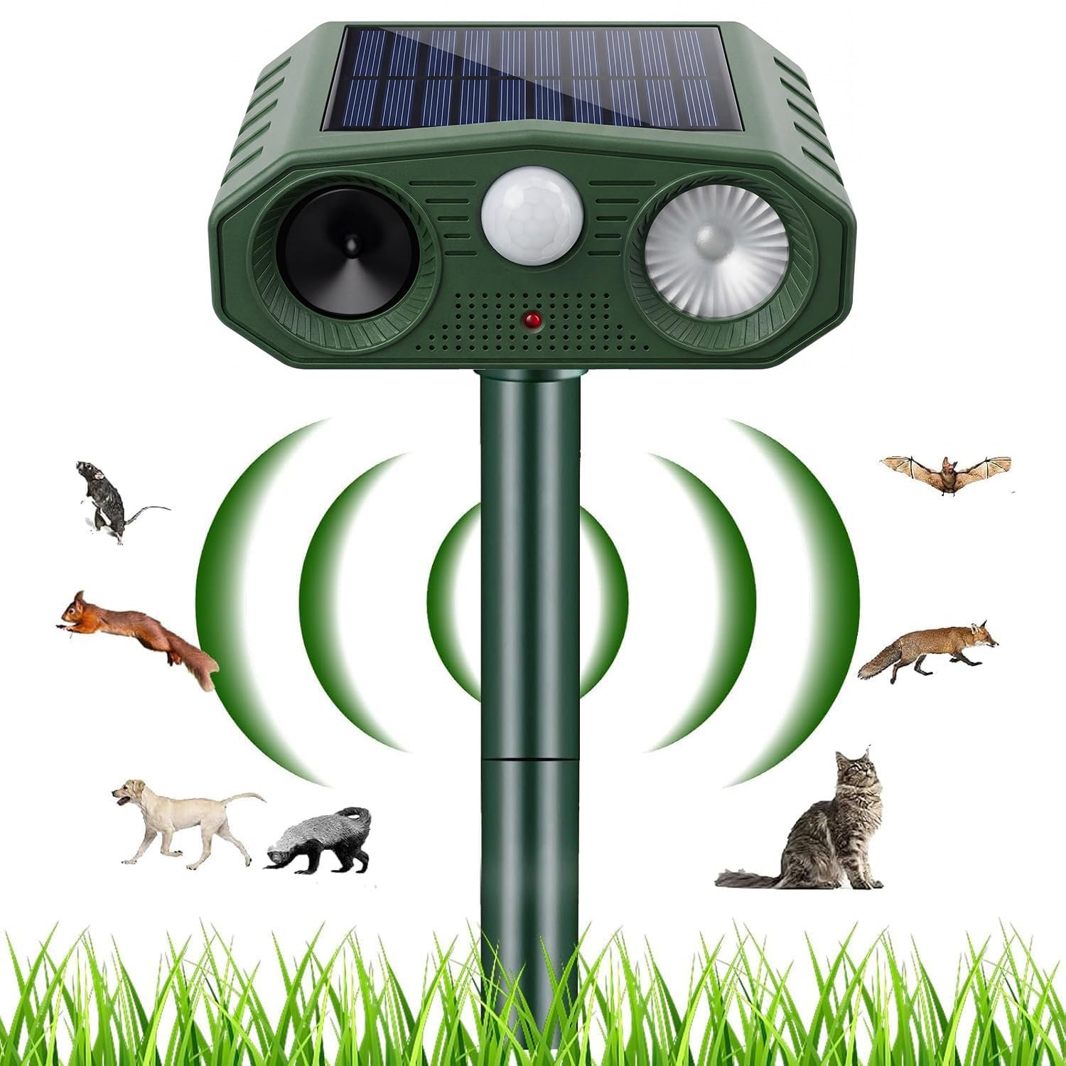 répulsif chat ultrason portable