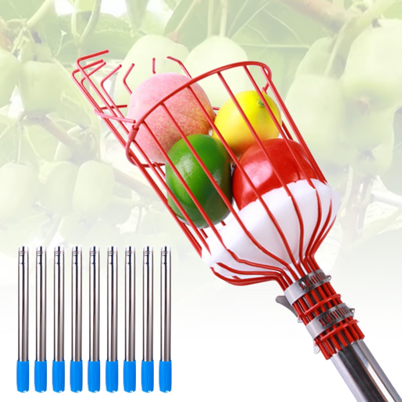 cueilleur de Fruits, Cueilleur de Fruits en Acier Inoxydable avec Coussinet de Protection en Mousse, idéal for la cueillette d'avocats, d'abricots, de poires et d'orangers.(3.6m)