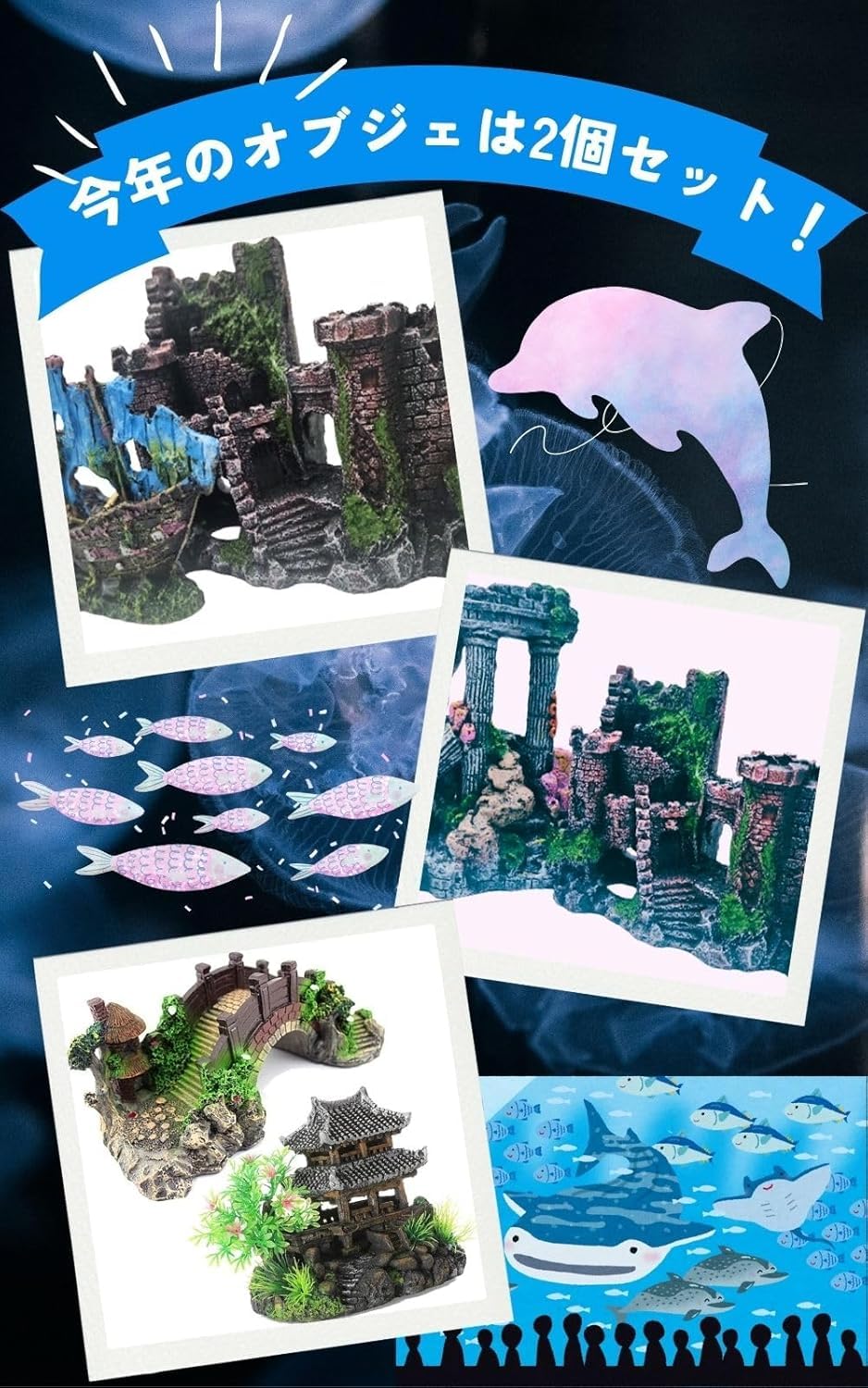 将来さん樣專用珊瑚 将来さん樣專用珊瑚 将来さん樣專用珊瑚