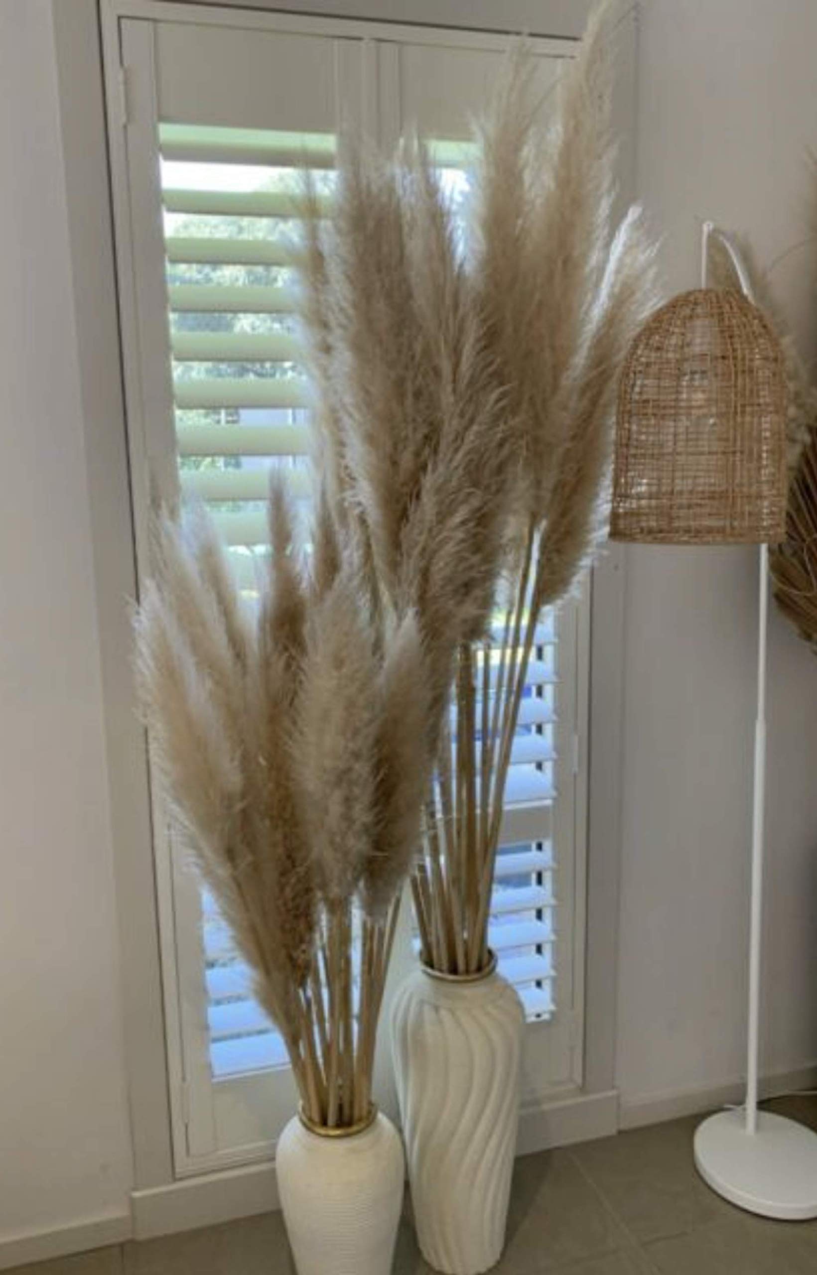 3 stems Extra Large Dried Pampas Grass 48" For Interior Decor Buy