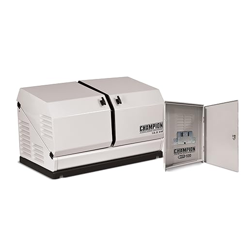 Champion 100177 Generator