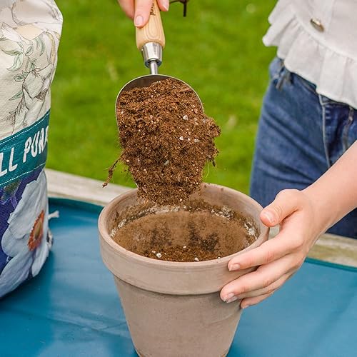 Miniatura 5 de Pala de mano para jardín de Berry&Bird, acero inoxidable, resistente, para mujeres, herramienta de jardinería con mango ergonómico y cabeza de metal