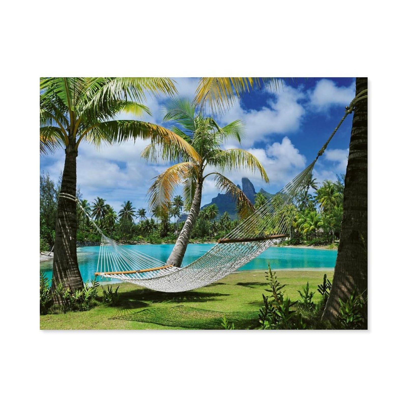 GSBRSNTS Paint by Numbers for Adults，Time Out Under Palm Trees，DIY Oil Painting Kits for Adults Kids Without Frame with Brushes and Acrylic Pigment Paint by Numbers Canvas Arts Crafts (30x40cm-E96