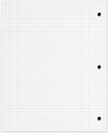 Hilroy Neatbook Wireless Notebook, 8.5" x 11", Quad Ruled, 4/1 inch and 5/1 inch pages, 3-Hole Punched, 160 Perforated Pages/80-Sheets, 1 Neatbook, Colour May Vary (05664)