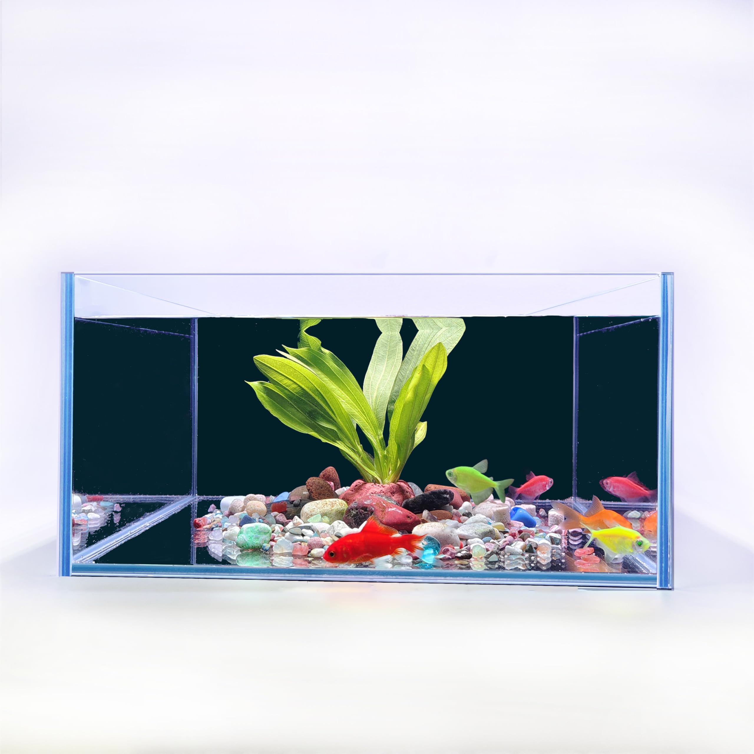 Acquario per pesci da 3,5 galloni, 30 x 30 x 15 cm, acquario in vetro a basso contenuto di ferro con tappetino antiscivolo, carta di sfondo e protezioni per gli angoli | Kit habitat Betta, tartaruga