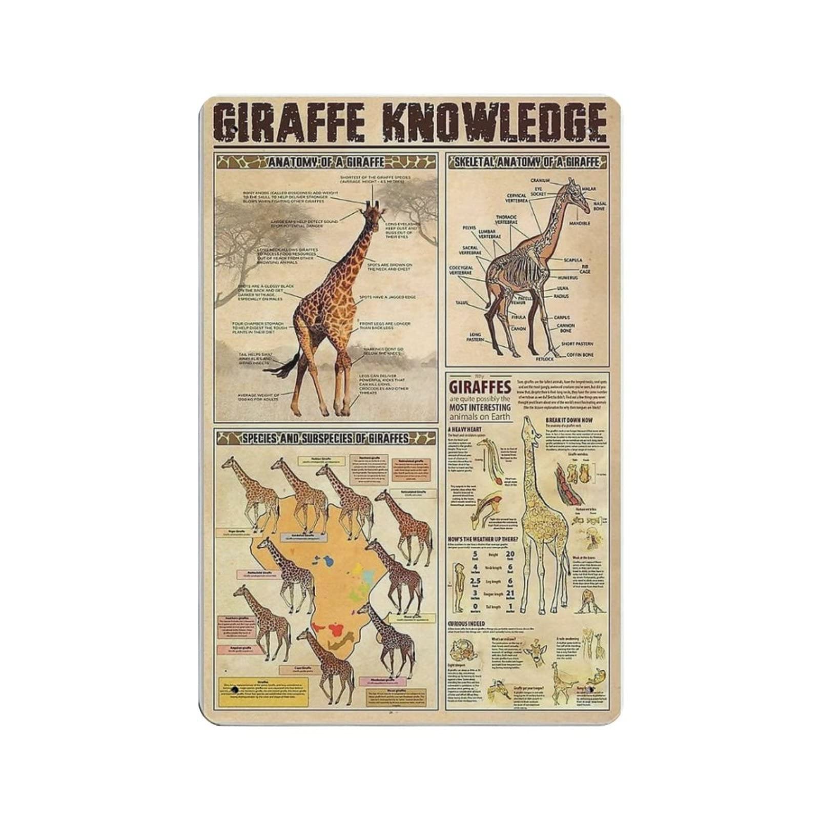 rayprint Giraffe Knowledge Metal Sign Poster Metal Tin Sign Art Wall Plaque Decor Vintage Retro Sign Iron Painting Aluminum Sign for Home Decor Bar Shop Men Cave Outdoor Garage Indoor 12"x8"