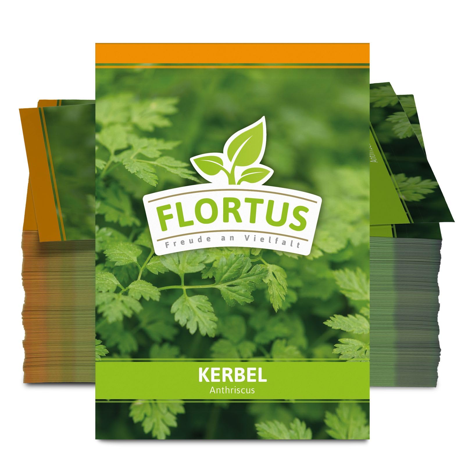 FLORTUS 2000-0057-100x Kerbel (100 Tütchen) (Kerbelsamen)
