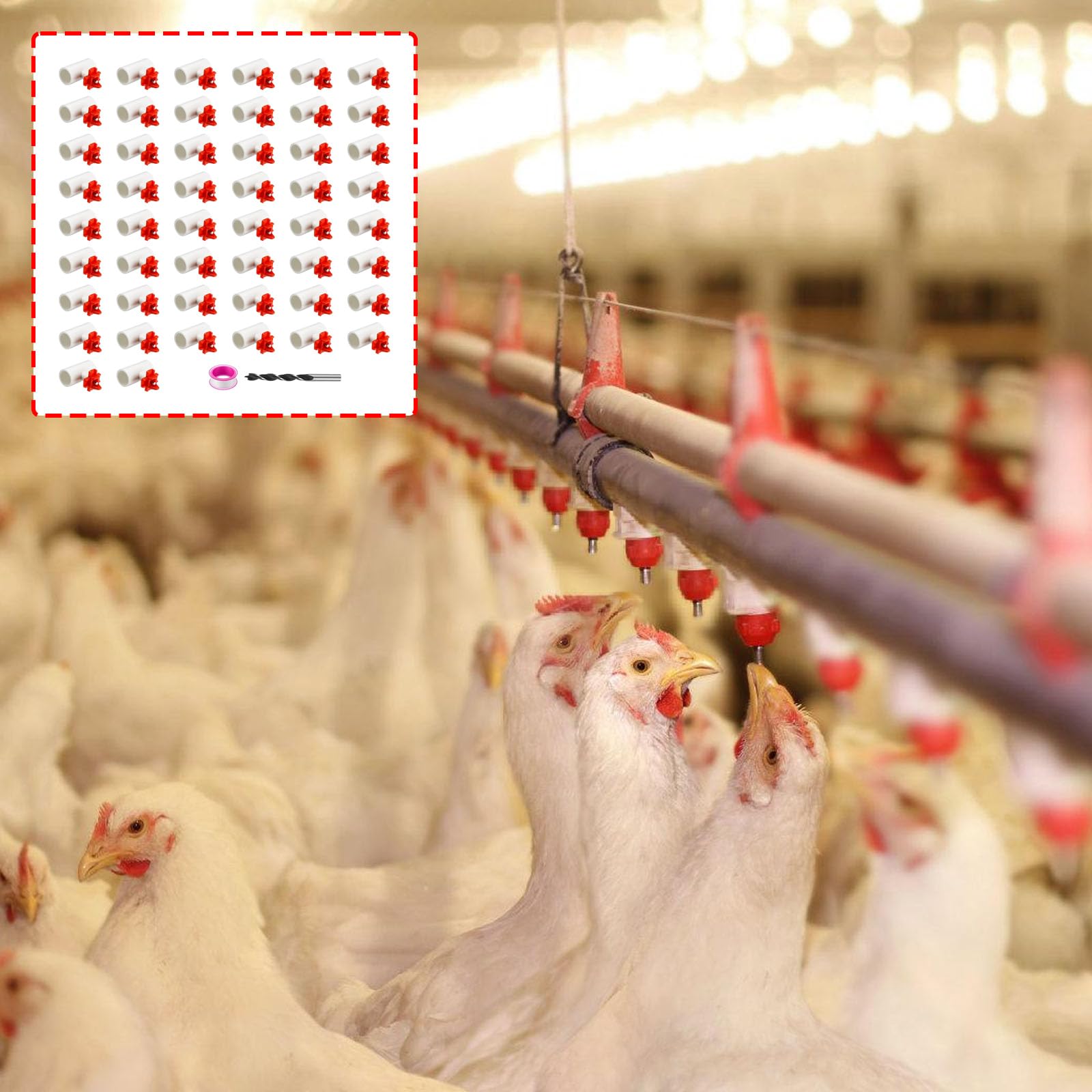 Bebedero automático para pollo Bebedero para pezón Garantiza un estado seco y limpio y una fácil instalación para diferentes sistemas de bebedero para aves de corral para pollos