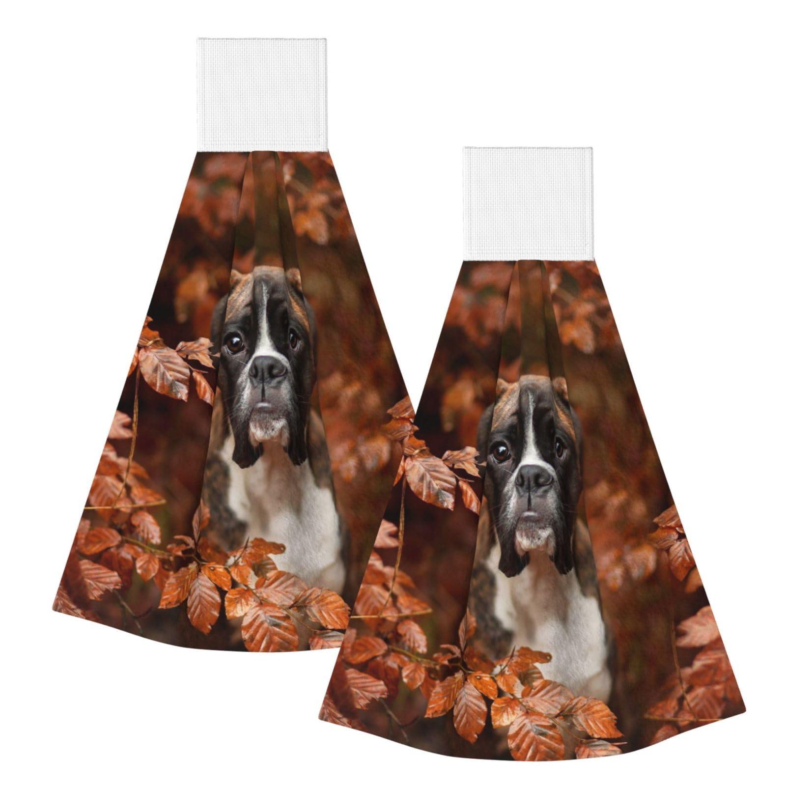 DOPKLNA Boxer Dogs Autumn, 2 Pcs Hanging Coral Fiber Hand Towels for Bathroom, Absorbent Kitchen Towels